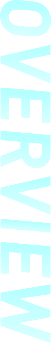 OVERVIEW 事業概要